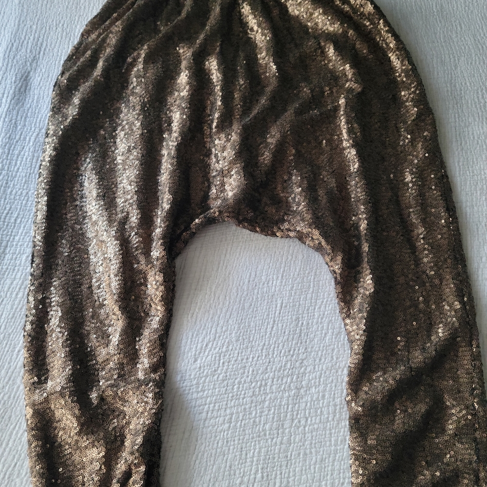 Sequin pants